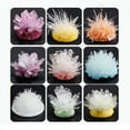 thumbnail image 4 of Magics Crystal Growing Kit Decoration Glass Crystal Science Experiments Puzzle And Stress Relief Kids Toy Educational Stimula, 4 of 5