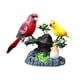 thumbnail image 2 of Mascota electrónica decorativa para el hogar y oficina, juguete interactivo para niños, regalo de cumpleaños, pájaro cantor activado por sonido., 2 of 9