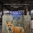 thumbnail image 3 of High Precision Body Weight Scale Smart Bathroom Scales with Large LCD Display(400lbs),Decorative for Bedroom-Red Fox Standing In The Snow Surrounded By Dense Forest Foliage, 3 of 4