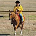 thumbnail image 1 of Double S 1213018-X Saddle Slicker, Yellow - Extra Large, 1 of 1