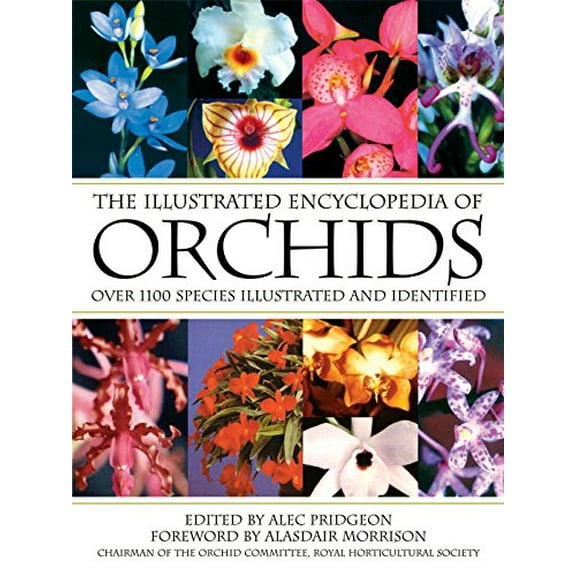 Pre-Owned The Illustrated Encyclopedia of Orchids: Over 1100 Species Illustrated and Identified Paperback