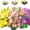 Mixcolor-3, variant on 6 Bundles Daisies Artificial Flowers Fake Colorful Daisy Plant UV Resistant Greenery Shrubs Plants for Indoor Outdoor Hanging Planter Home Garden Wedding Porch Window Decor