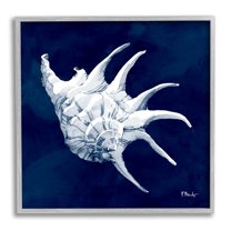 Stupell Industries Cyanotype Shells Traditional Conch Graphic Art Gray Framed Art Print Wall Art, Design by Paul Brent