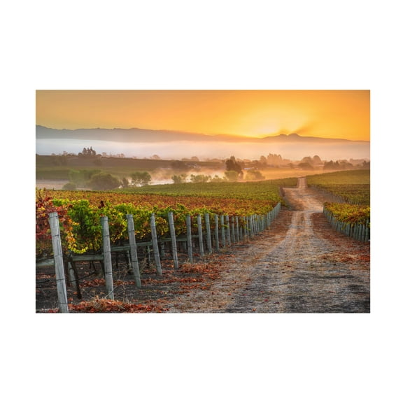 Trademark Fine Art John Gavrilis Vineyard Sunrise Canvas Wall Art - 12x19