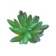 thumbnail image 2 of Suculentas falsas Naiovety 10 piezas decorativas de PVC y alambre de hierro, 2 of 6