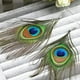 thumbnail image 3 of Hermosa pluma natural DIY joyería decoración decorativa 25-32 cm de longitud 50 Piezas Scienceny HA4712-00B, 3 of 6