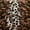 ML Leopard, variant on Home Soft Things Faux Fur 2 Piece Throw Pillow Cover Set - Cow - 20" x 20"