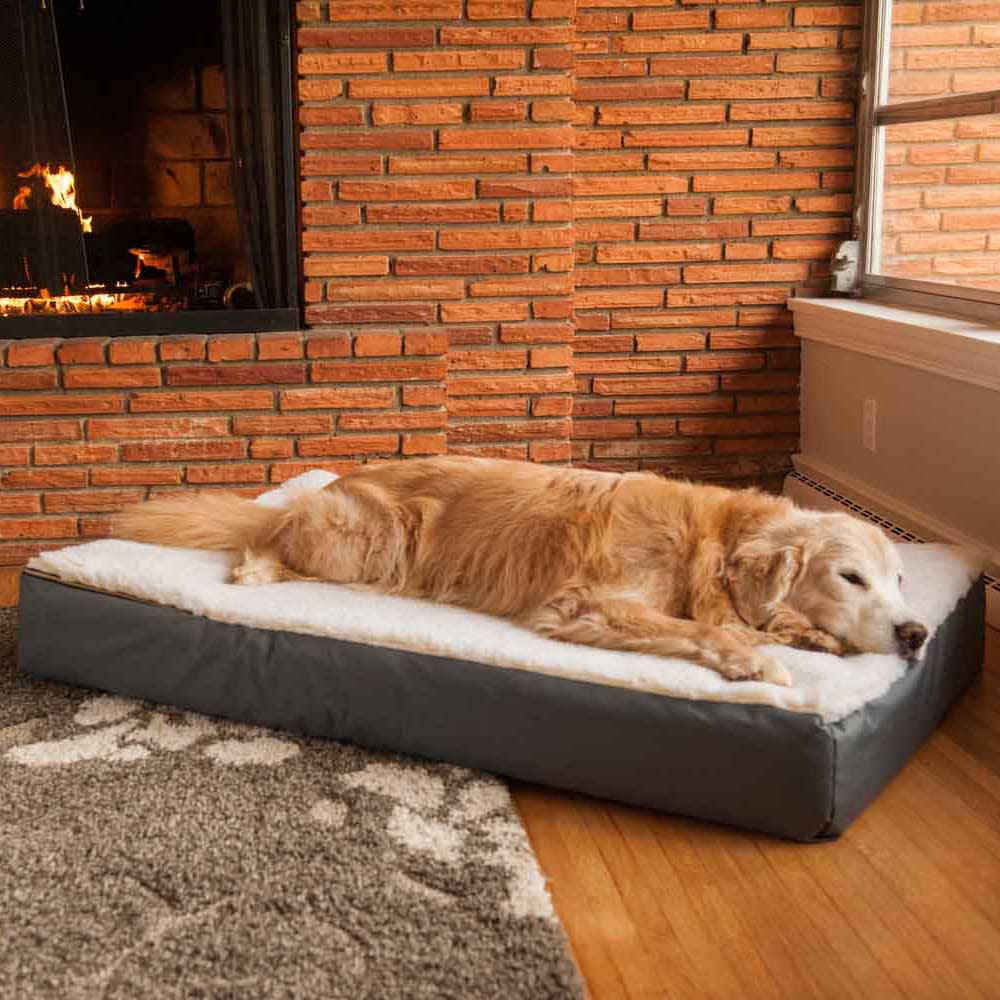 Snoozer Super Orthopedic Lounge Dog Bed