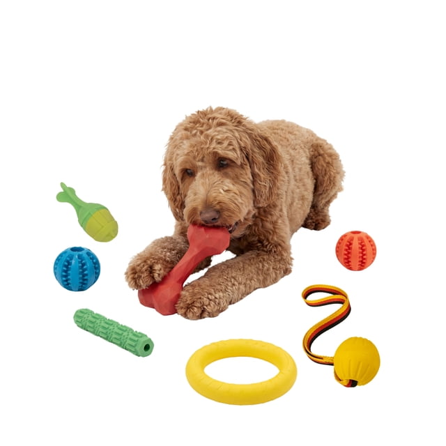 One Paw, 8-Pack Toy Set Bucket, 100% Rubber Toys, Interactive and Engaging for Dogs