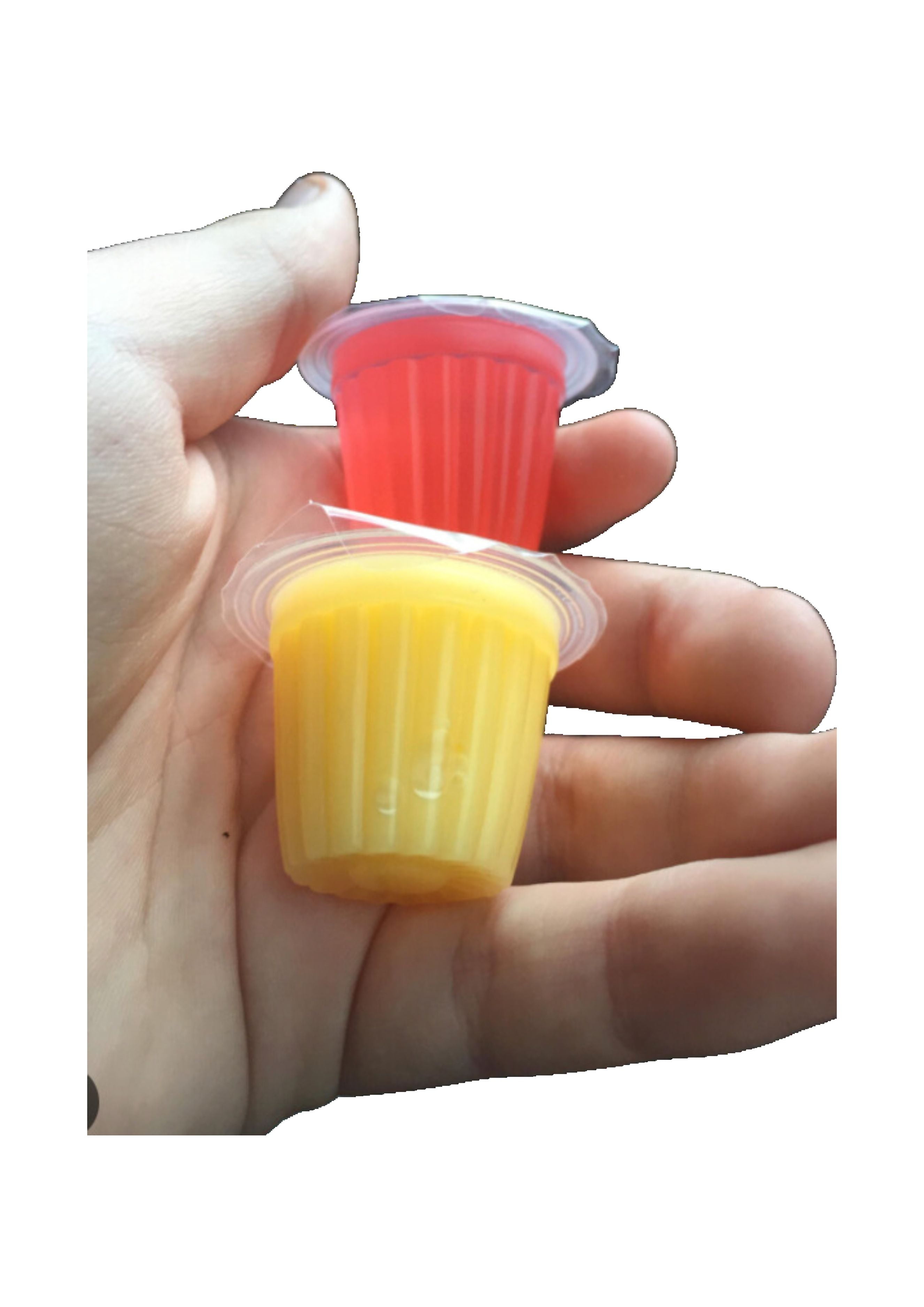 Komodo Jelly Cups Gecko Jelly Pots KOMODO Jelly Pots Reptile Food