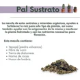 thumbnail image 3 of Sustrato Para Cactus Y Suculentas Palhogar 20 Lts, 3 of 4