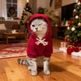 thumbnail image 3 of Pet's Clothes Christmas Hoodie Pocket Sweater Small And Medium Cat Red, 3 of 5