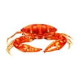 thumbnail image 1 of Jouet Crabe Réaliste Coussin en Peluche Doux à Thème Océan pour Enfants Adultes Maison, 1 of 3