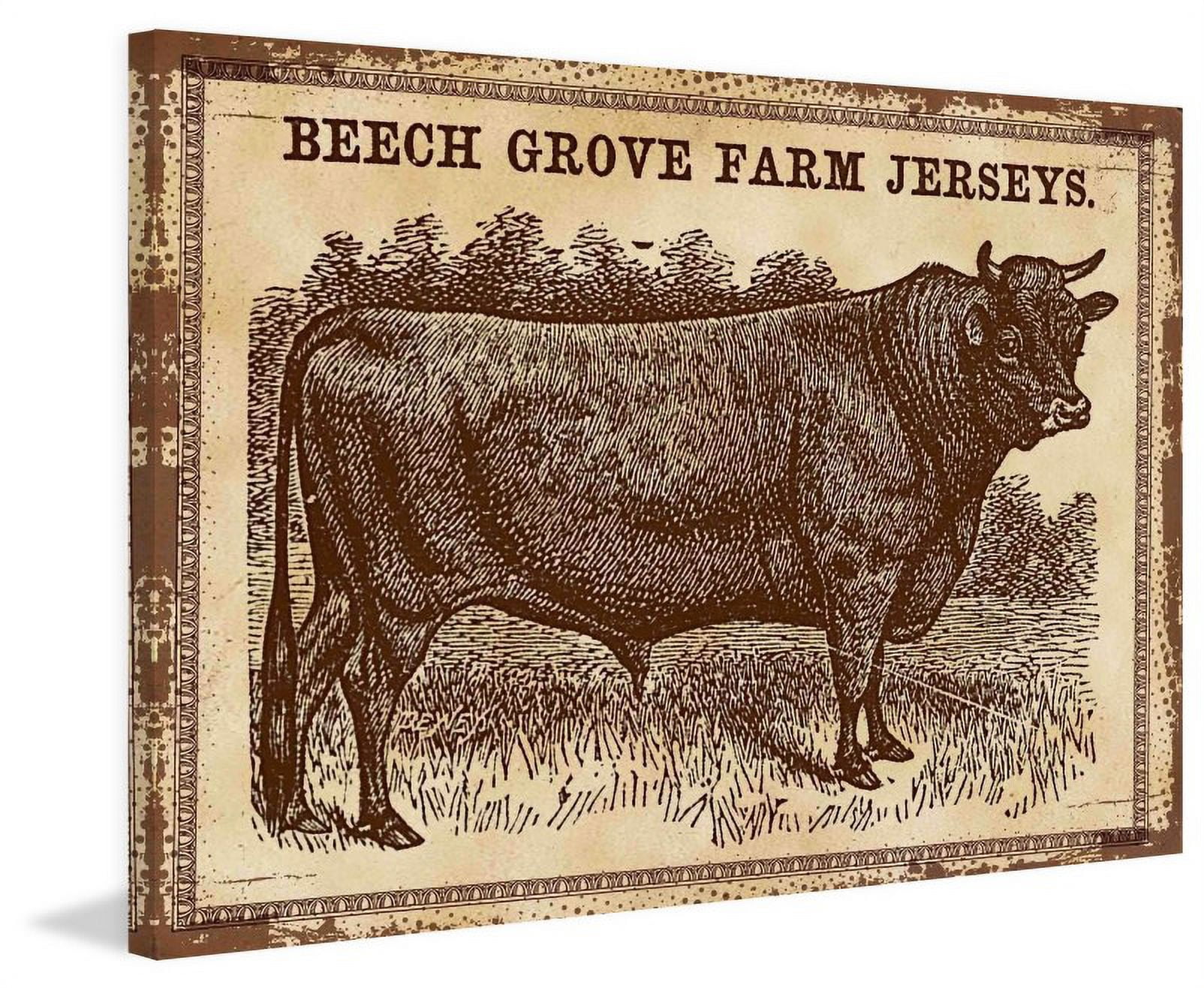 Marmont Hill "Cows Jerseys 2" Painting Print on Canvas