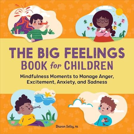 Pre-Owned The Big Feelings Book for Children: Mindfulness Moments to Manage Anger, Excitement, Anxiety, and Sadness (Paperback) 1638781494 9781638781493