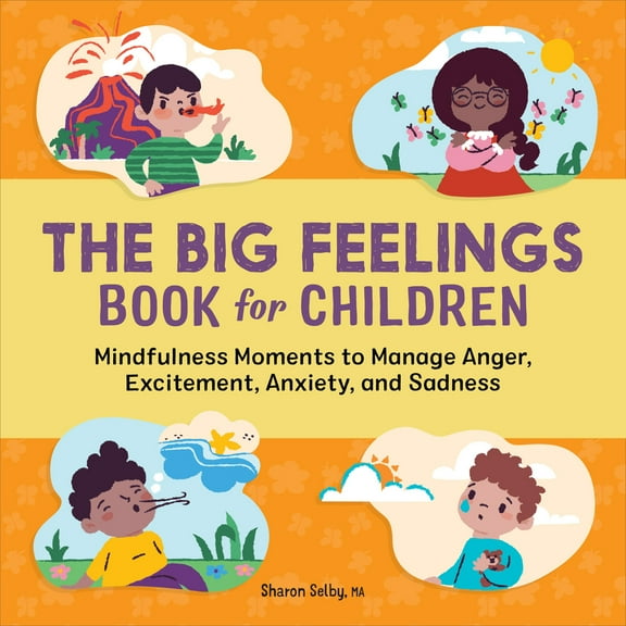 Pre-Owned The Big Feelings Book for Children: Mindfulness Moments to Manage Anger, Excitement, Anxiety, and Sadness (Paperback) 1638781494 9781638781493