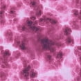 thumbnail image 1 of Ahgly Company Machine Washable Indoor Square Transitional Violet Purple Area Rugs, 5' Square, 1 of 7
