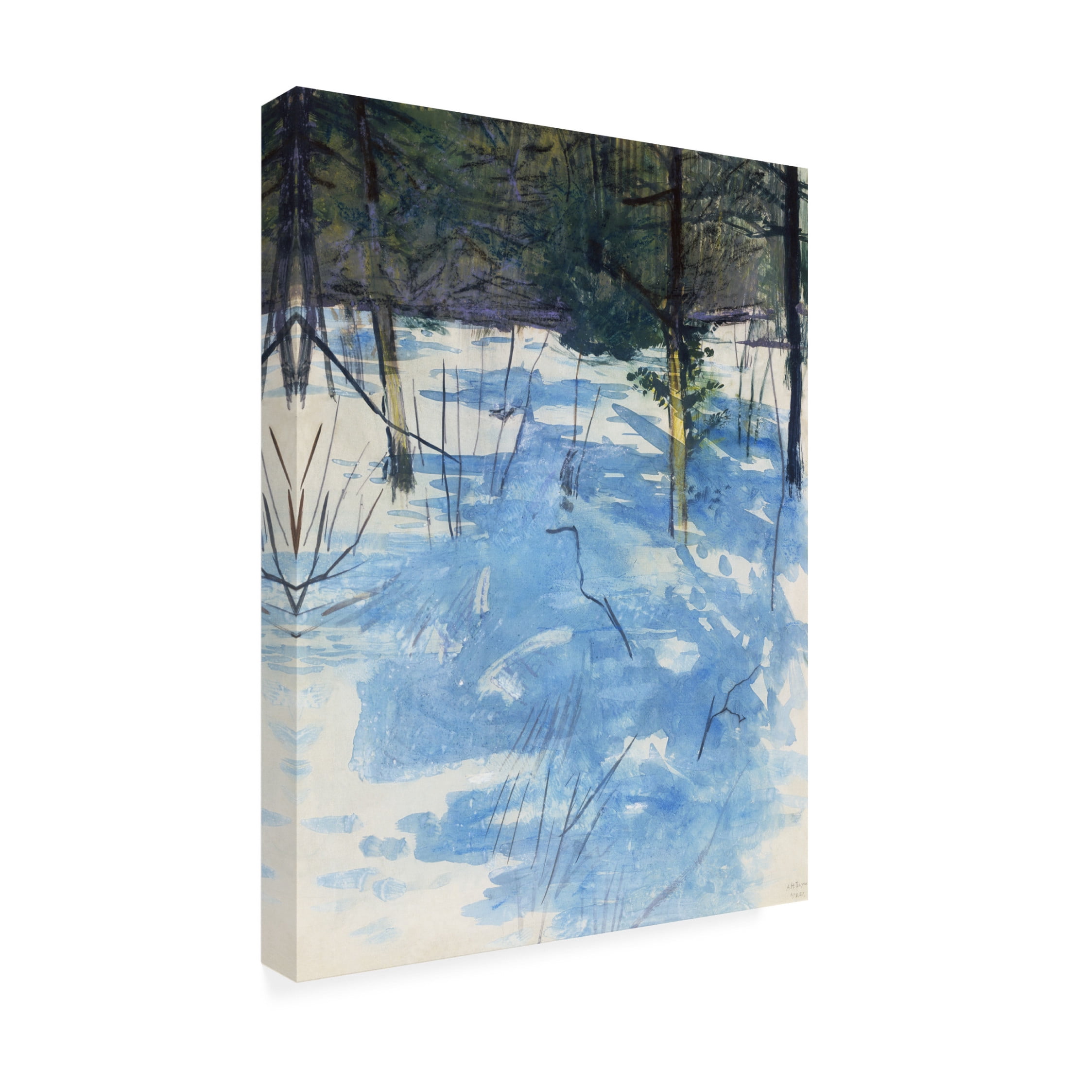 Trademark Fine Art Abbott Handerson Thayer  Thayer Landscapes I Canvas Wall Art