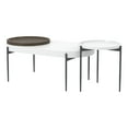 thumbnail image 3 of Wicklow Wood 2-Piece Coffee Table Set, White, 3 of 5