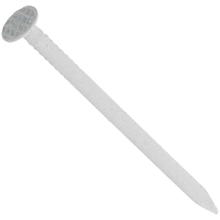 Hillman 1-1/4 in. Trim Zinc-Plated Steel Nail Flat Head Hillman 1-1/4 in. Trim Zinc-Plated Steel Nail Flat Head