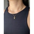 thumbnail image 3 of Collar Tortuga ANVAR Acero Inoxidable, 3 of 3