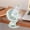 Green, variant on Fnyoxu Portable Clip on Fan, 360° Rotate Battery Operated Stroller Fan, 2 Speed Quiet Mini Personal Desk Fan, USB Rechargeable Clooing Fan for Outdoor Camping Golf Cart Stroller Home Office