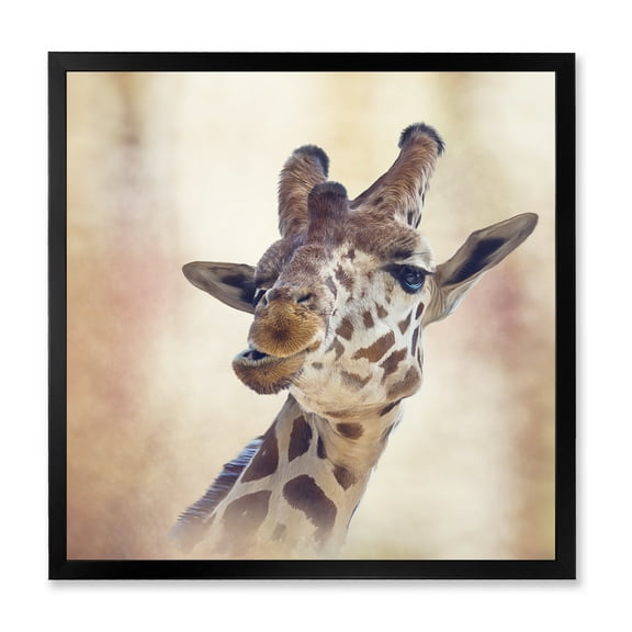 Designart 'Close Up Portrait of A Giraffe VI' Farmhouse Framed Art Print