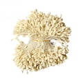 thumbnail image 1 of 1400 piezas de tarjetas de álbum de recortes de estambres decoración de flores suministros para manualidades Crema perfecl estambres florales, 1 of 7