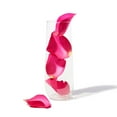 thumbnail image 3 of TOSSWARE Clear Plastic 9oz Flute Champagne Glass, Set of 252, 3 of 7