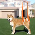 thumbnail image 2 of Pet Hind Leg Support Strap Oxford Cloth Breathable Double fixation Adjustable Assist Belt For Elder Dog, 2 of 5
