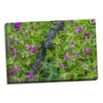 thumbnail image 1 of Gango Home Decor Contemporary Wildflower Meadow I by Kathy Mahan (Ready to Hang); One 24x16in Hand-Stretched Canvas, 1 of 4