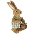 thumbnail image 2 of Northlight 10.5" Sisal Easter Bunny Rabbit Spring Figure with Carrot Basket - Brown/Green, 2 of 6