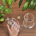 thumbnail image 4 of Arch Shape Bird Pattern Glass Cloche Dome Cover Terrarium for Eternal Flower Plant Kits Display 4x6.5inch, 4 of 9