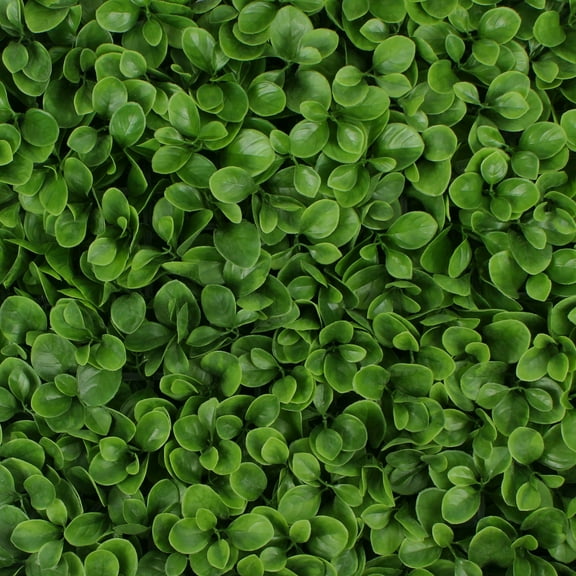 Greenery Panel 12 Pack - Jasper