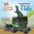 thumbnail image 4 of 60 piezas de juguetes de huevos de dinosaurio que crecen en agua, 4 of 5