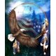 thumbnail image 1 of 30 × 40 Pintura de diamante Bordado Kit completo de pintura de diamante en abalorios Pasta de diamante Paisaje Accesorios Lienzo 5d Imagen Adulto Niño Lote de diamantes de imitación Rompecabezas Dibujo Decoración de pared Dormitorio Otoño Paisaje Animal Coche Lindo ER, 1 of 5