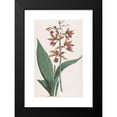thumbnail image 2 of Hendrik Schwegman 11x14 Black Modern Framed Museum Art Print Titled - Marshorchid (1793), 2 of 5