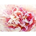 thumbnail image 3 of Perry, Rachel 18x15 Black Modern Framed Museum Art Print Titled - Monets Peony I, 3 of 5