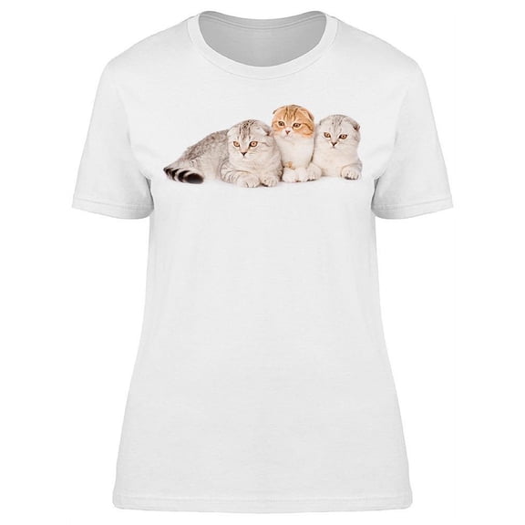 Three Lop-Eared Scottish Cats T-Shirt Women -Image by Shutterstock Women T-Shirt, Female Large