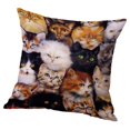 thumbnail image 1 of simhoa Animal Pattern Pillow Replacement Case Cover for Sofa Car Bed Accessory Cat Cat 60x60cm, 1 of 8