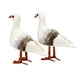 thumbnail image 4 of Fiudx Adorno de Gaviota Artificial, Decoración de Espuma Muy Detallada, Realismo para Jardín, Aspecto Natural para El Hogar, Jardín, Fiesta, Fotografía, Navidad, Halloween, 22 X 8 X 19 Cm, Juego de 2, 4 of 6