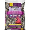 Pennington Ultra Fruit & Nut Blend, Dry Wild Bird Seed and Feed, 6 lb., 1 Pack Bag