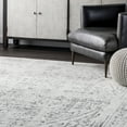 thumbnail image 2 of nuLOOM Arlena Vintage Traditional Grey 8' 2" x 11' 6" Modern Area Rug, 2 of 9