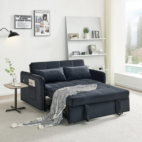 AENKYO 55.5" Pull-Out Loveseat Sleeper Sofa Bed with USB Ports and Side Pockets – Black