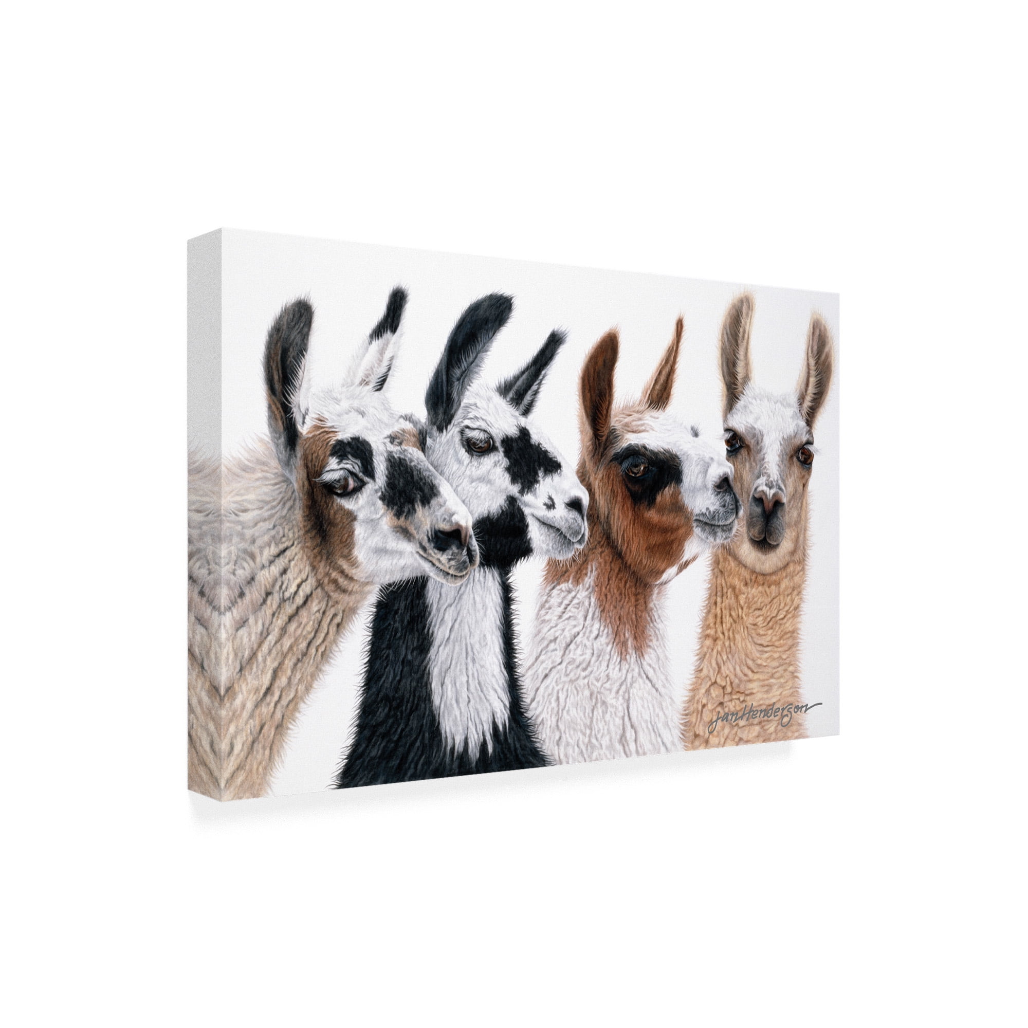 Trademark Fine Art 'Peruvian Visitors' Canvas Art by Jan Henderso