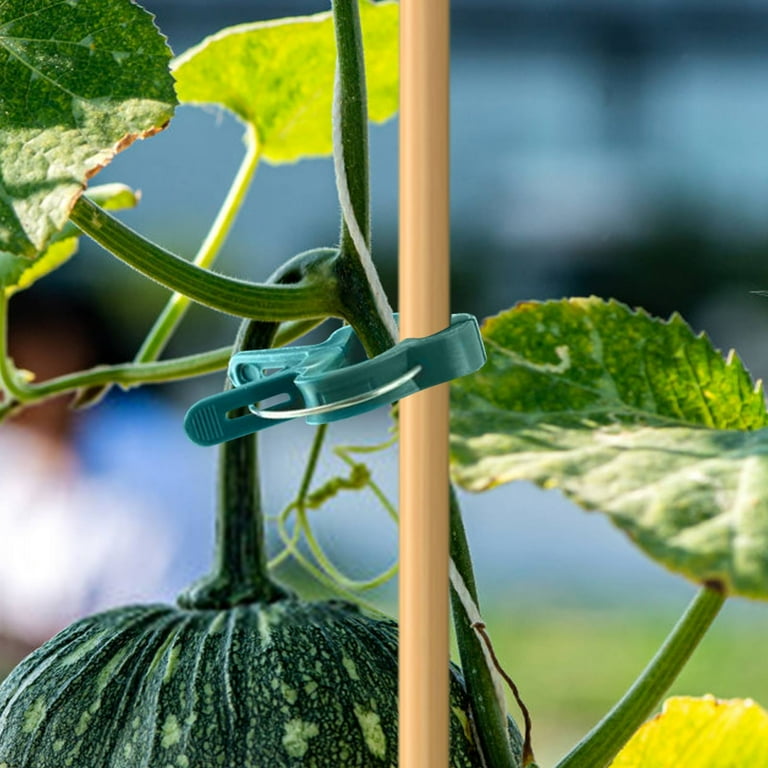 Plant Support Clips, 20 Pack Tomato Clips for String Plant Clips 