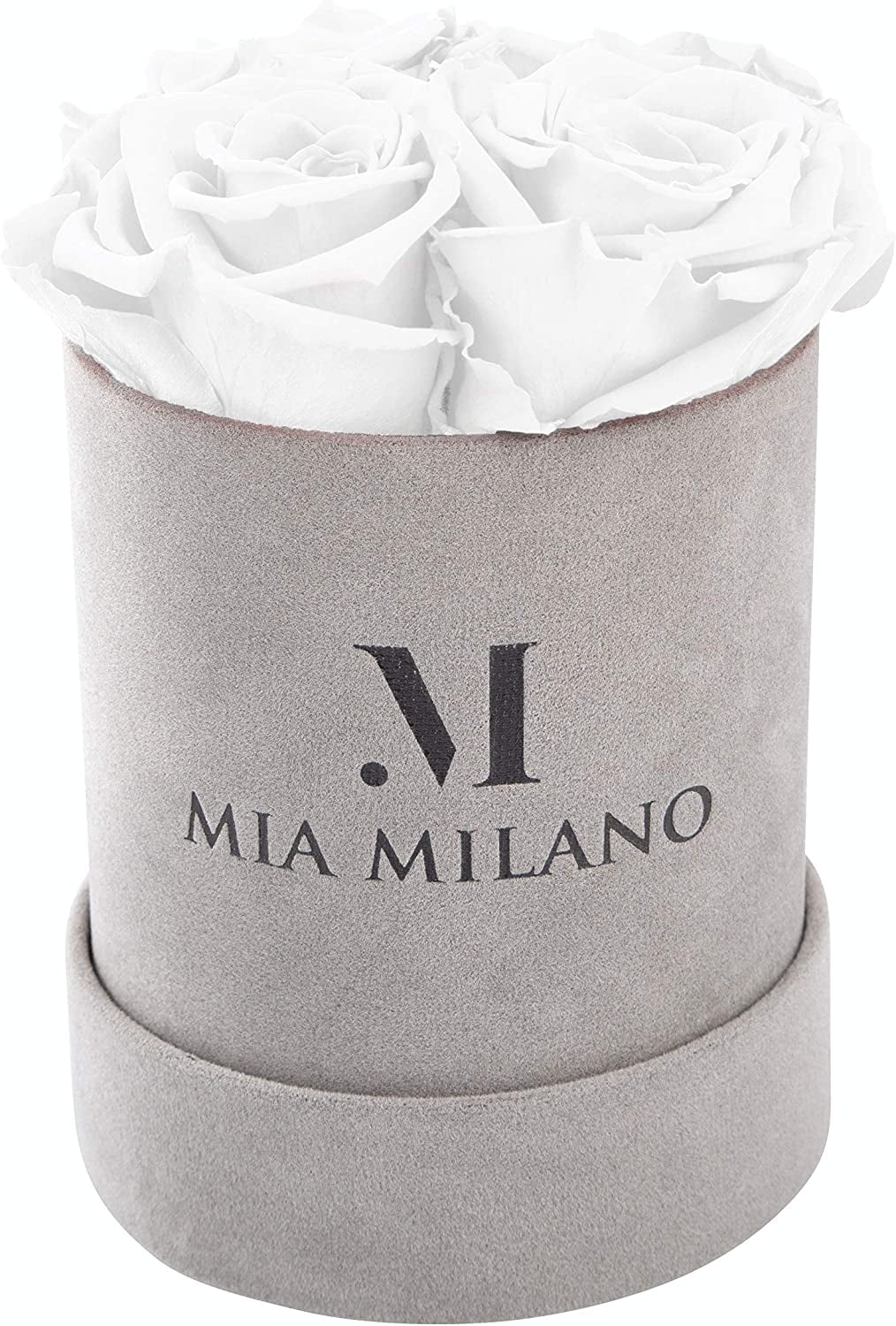 Mia Milano Roses in a Box I Preserved Roses Box Handmade in The USA I  Infinity Flowerbox for Delivery I Preserved Real Roses in Velvet Box 3  Years Shelf Life - Walmart.com
