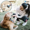 thumbnail image 4 of GHSDFBB Dematting Comb for Dog and Cat, Pet Grooming Rake and Brushes for Small, Medium Large Dogs 17+9 Double Sided Deshedding Tool Removes Knots & Tangled Hair, 4 of 7