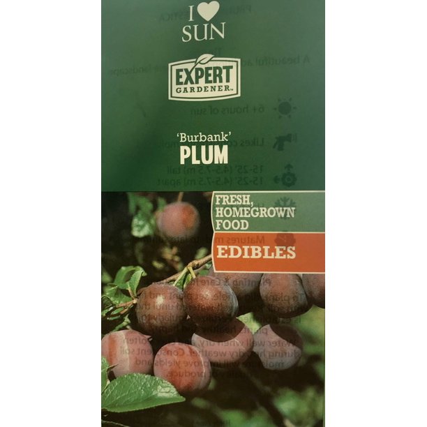 Expert Gardener 3.25G Burbank Plum Fruit Tree