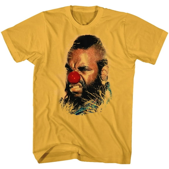 Mr. T Icons Why Must I Adult Short Sleeve T Shirt